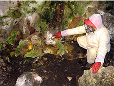 Analýza rizika znečisteného územia